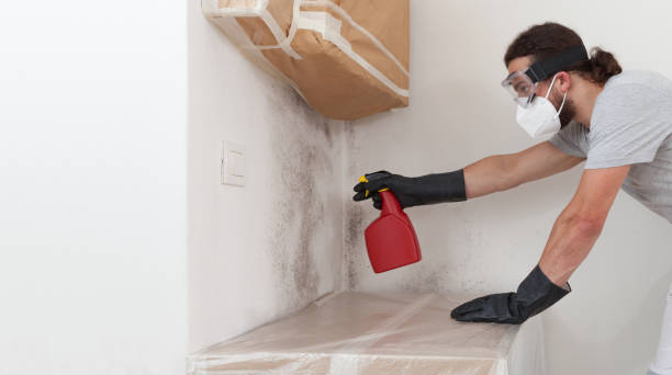 Professional Attic Mold Remediation technician working in Warwick, MD