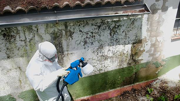 Top rated local Attic Mold Remediation specialists in Warwick, MD